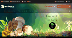 Desktop Screenshot of faundez.com