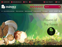 Tablet Screenshot of faundez.com